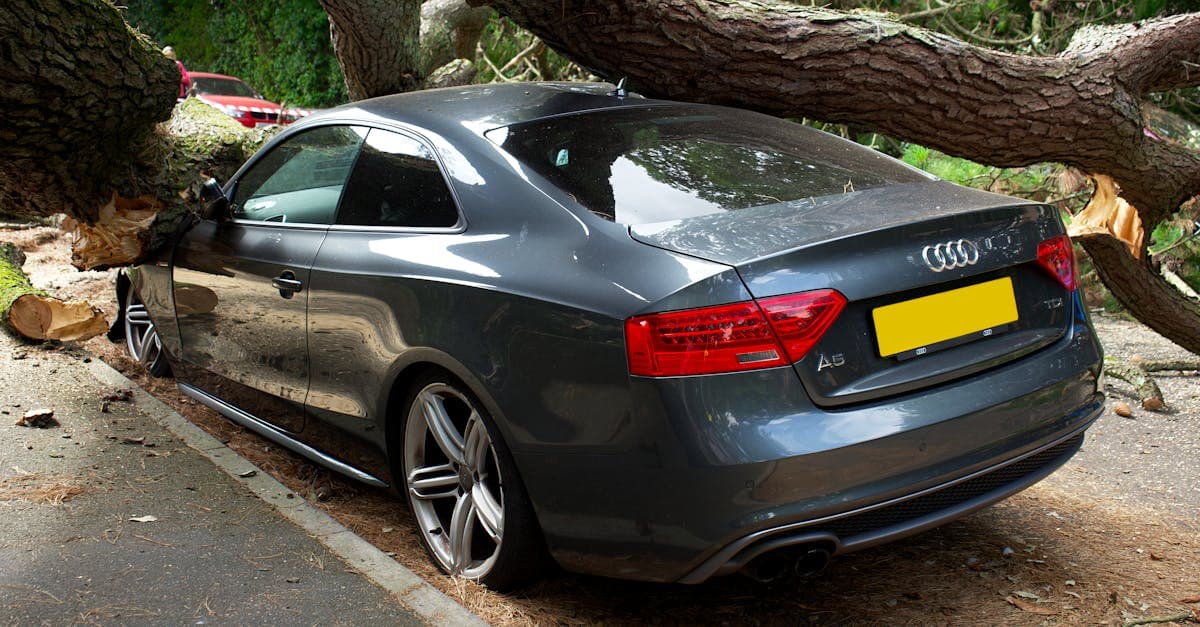 Cover Image for What Comprehensive Insurance Does Not Cover: The Exclusions List