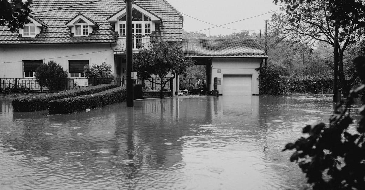 Cover Image for The Sewer Backup Endorsement Every Homeowner Needs