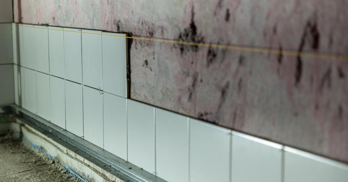 Cover Image for Hidden Mold Behind Walls: Does Your Insurance Cover It?