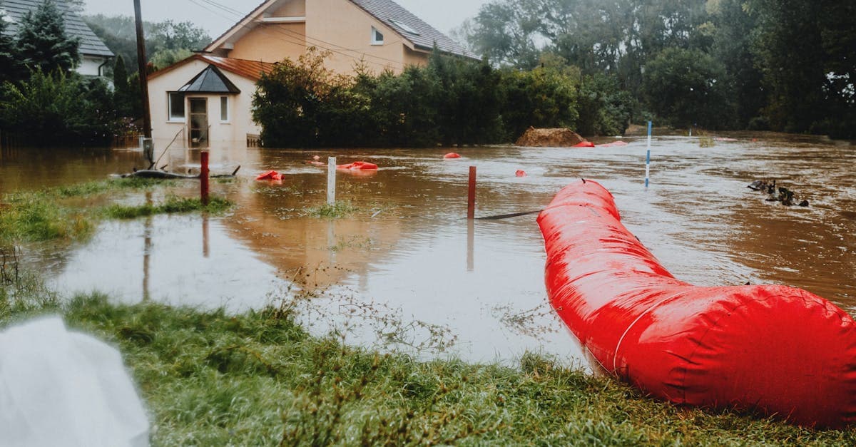Cover Image for Currency, Vehicles, and Living Expenses: Major Flood Insurance Exclusions Explained