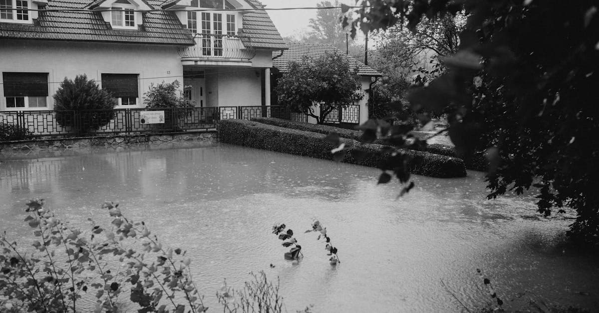 Cover Image for The Water Damage Coverage Gap That Costs Homeowners Thousands Every Year