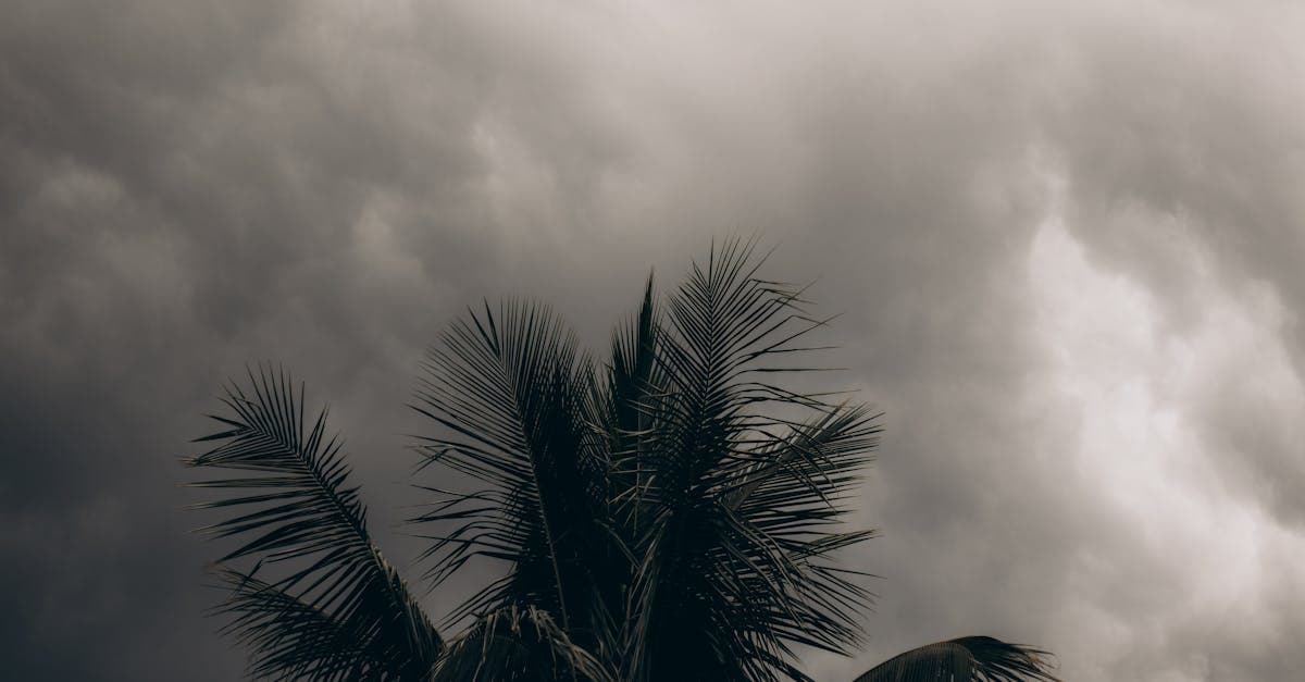Cover Image for Multiple Hurricanes, Multiple Deductibles: Planning for the Worst-Case Scenario