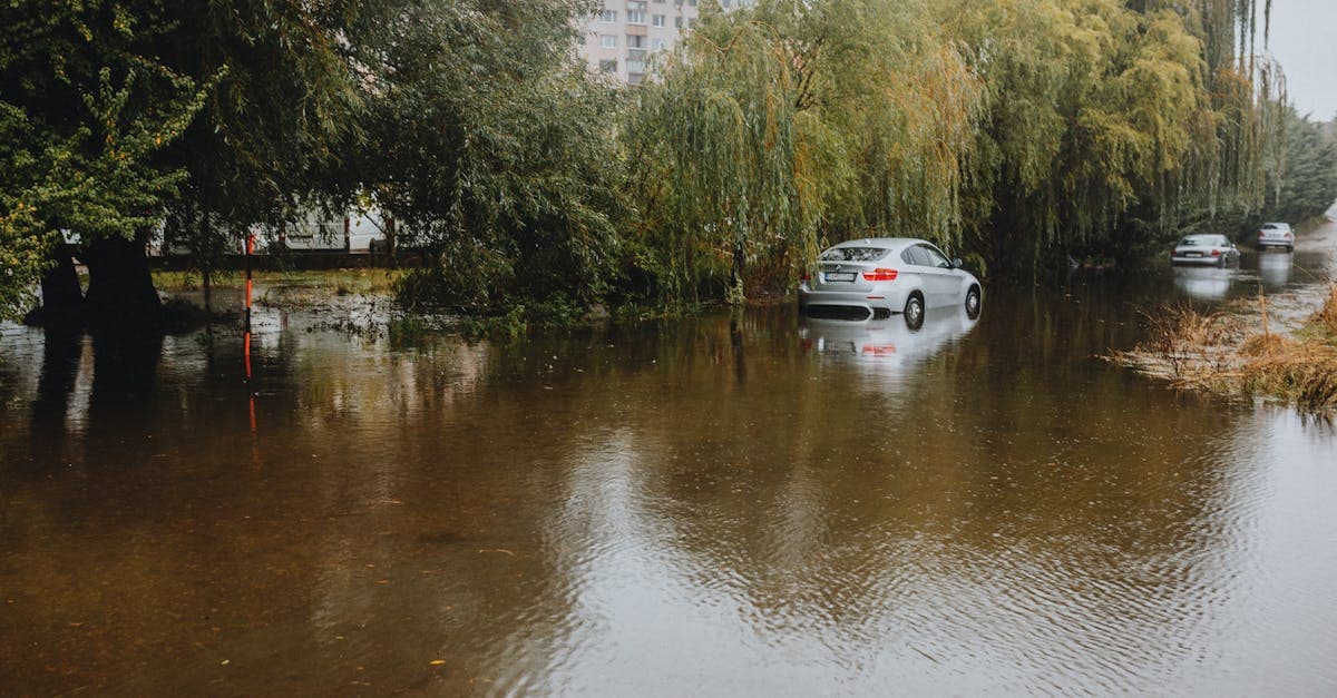Cover Image for How Much Does Flood Insurance Cost for a Condo Unit?
